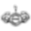 NPC-Logo-Icon_alpha.png